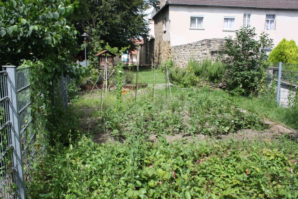 Blick über die Beete des Schulgartens