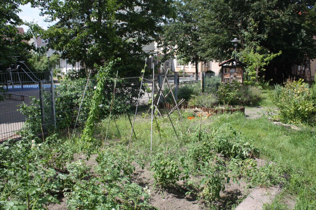 Beete mit Rankstangen im Schulgarten