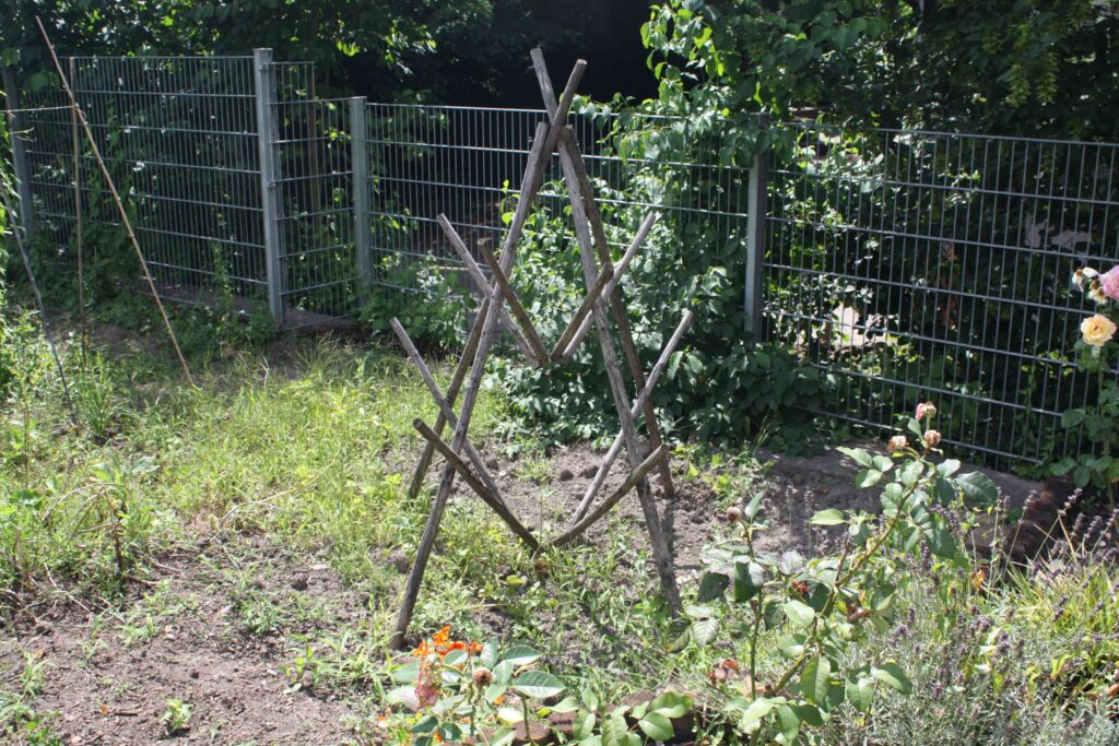 Rankgerüst aus Ästen im Beet