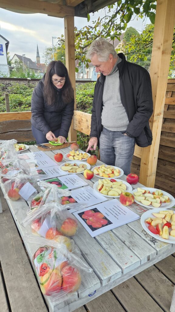 Ein Tisch mit Äpfeln und Obst beim Gartenplausch